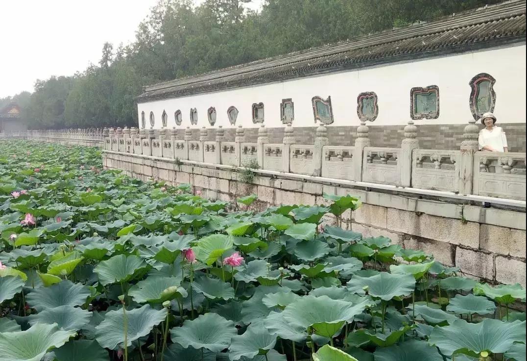 我與北京的心悅約會 &mdash;&mdash;記南昌民德學(xué)校初中部北京研學(xué)活動（二）